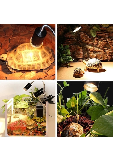 Kaplumbağa Uvb Bronzlaşma Lamba Tutucu Tam Spektrumlu Pet Güneş Enerjili Işık Tutucu, Ab Tak