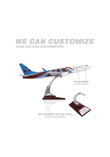 ZekUpp - Maket Uçak - Boeing 737-800 1/100 - BORDO MAVİ TARAFTAR Özel Tasarım Model Uçak