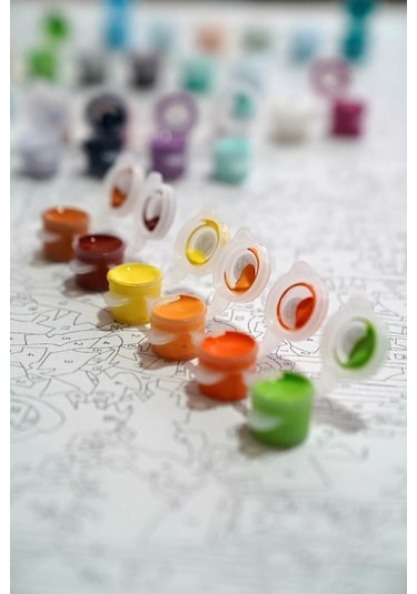 Sayılarla Boyama Tuval Seti 40x50 Cm - Küçük Prens