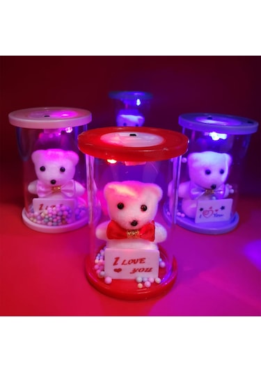 Işıklı Cam Fanus İçinde Ayıcık Çok Renkli