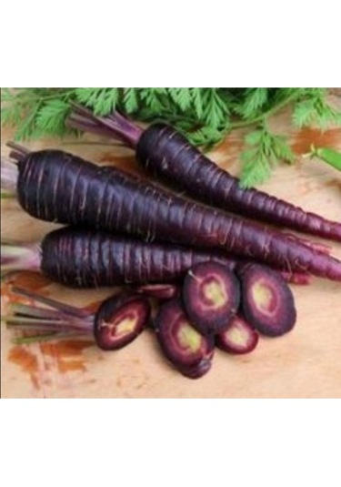 Mor Havuç Tohumu 3 Gr. - 4 Saksı+torf Hediye