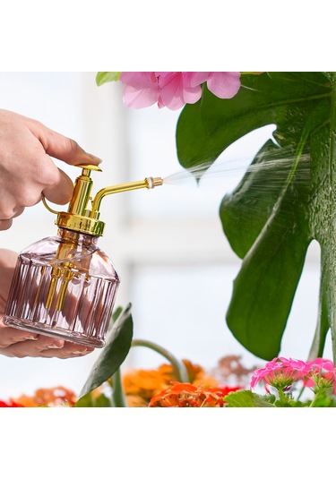 Perotti Vintage Cam Bitki Sulama Şişesi 250 ML Mor