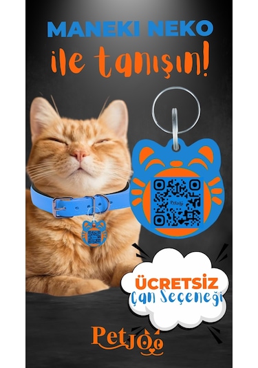 Petjoo 4.Maneki Neko Turuncu-Mavi Qr'lı Kedi Künyesi