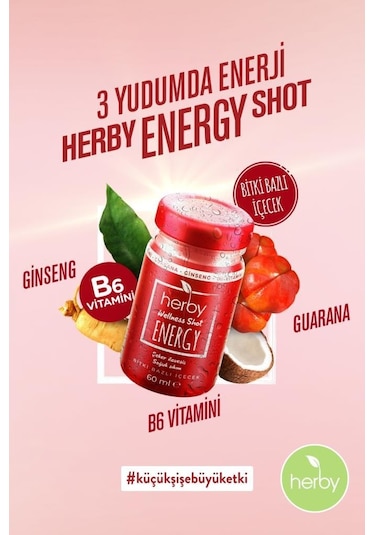 Herby Energy Shot Enerji Bitki Bazlı İçecek X12