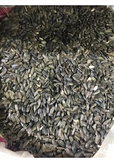 Cennet Ve Sultan Papağanı 2 Kg Paraket Siyah Çekirdek Diğer