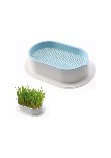 Mufunye Kedi Çimi Ekici Hidroponik Yetiştirme Kiti İç Mekan Kedileri İçin Topraksız Üretim