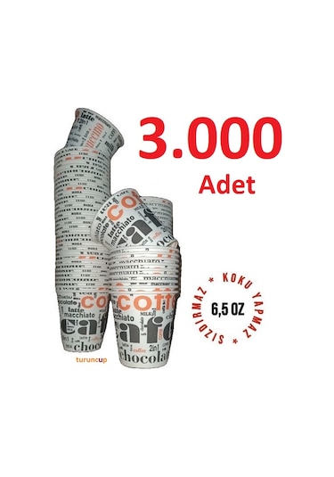 3000 ADET KARTON BARDAK