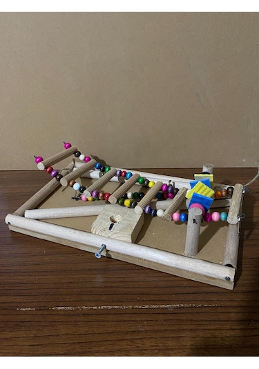 Paks Pet Kuş Oyun Parkı No:14