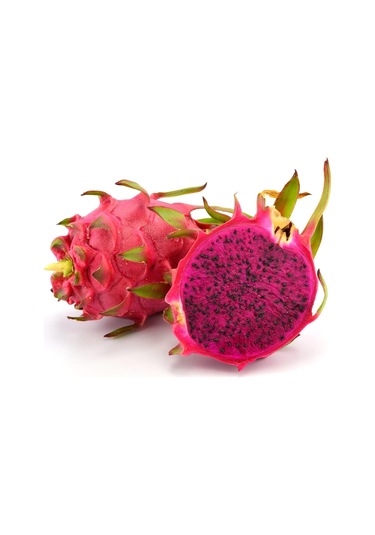Kırmızı Pitahaya Ejder Meyvesi Köklü Ve En Az 2 Loblu Sınırlı