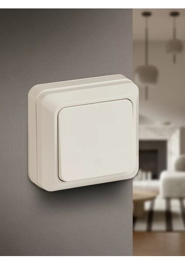 Intro Quadro 250v Tekli Düğmeli Anahtar 261824260