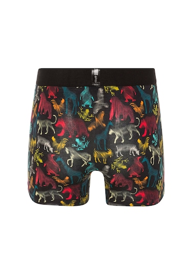 Farm Animals All Animals Desenli Boxer Çok Renkli