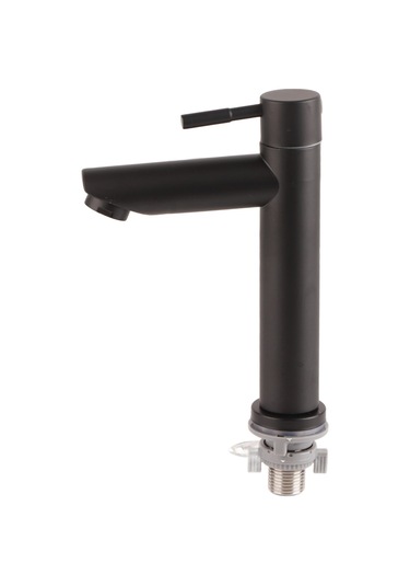 Tenfowee Siyah Banyo Lavabo Kraanı - Sus304 Paslanmaz Çelik - Tek Soğuk Su - G1/2 Erkek Dişli - Pıhtıksız Su Akışı - Ev, Mutfak, Balkon Uygun Siyah