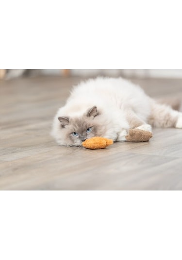 Trixie Kedi Oyuncağı, Peluş Ayı, Kediotlu 8cm