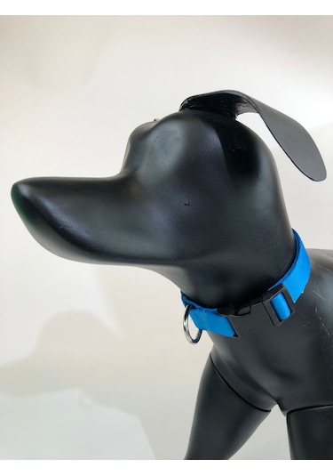 Mita Ayarlanabilir Köpek Boyun Tasması Turkuaz