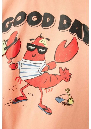 Name It Nmmfısh Nreg Ss Top Box Pembe Erkek Çocuk Kısa Kol T-shirt Pembe