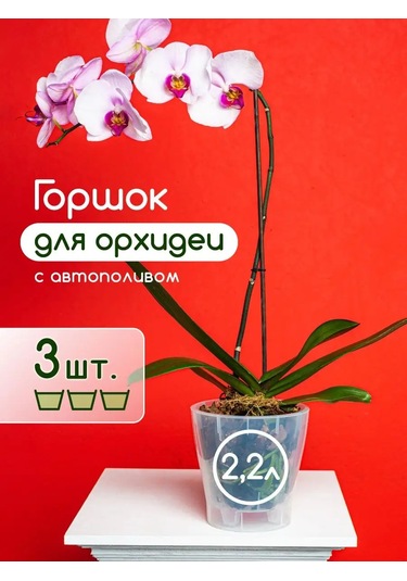 Al'ternativa Orkide Saksısı 2,2 L 3 Adet 163659180