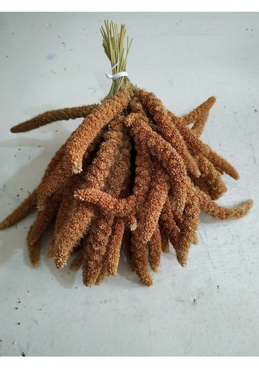 Doğal Kizil Dal Dari 250gr