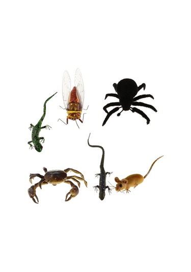 Suntek Son Derece Simüle Kil Böcekler Rastgele Renkli Hayvanlar