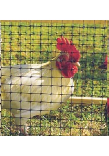 Intermas Kuş Filesi Ağı 2Mtx10Mt Toplam20 M2 Plastik Döküm File