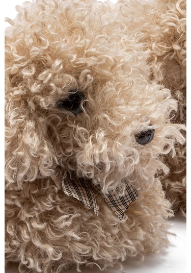 Digi Kadın, Garson Boy Hayvanlı Panduf Bej 36/41 Bej