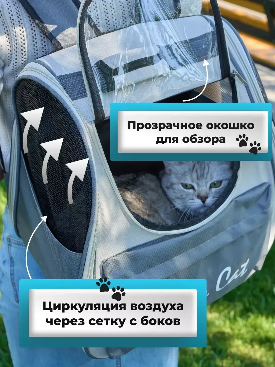 Kotosumka Kedi Ve Köpekler İçin Taşıma Sırt Çantası 246184776