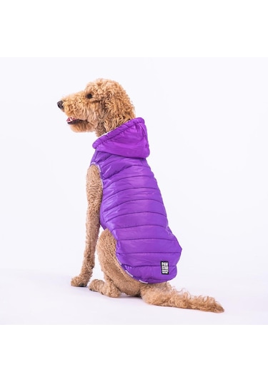 Pawstar Railway Purple Su Geçirmez Orta-büyük Irk Köpek Yelek Yağmurluk