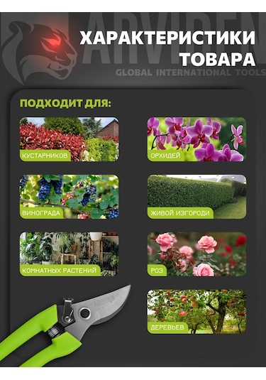 Arvıden Bahçe Kıskaç, Mesleki Çelik Bahçe Ve Bahçe İçin, 263002892