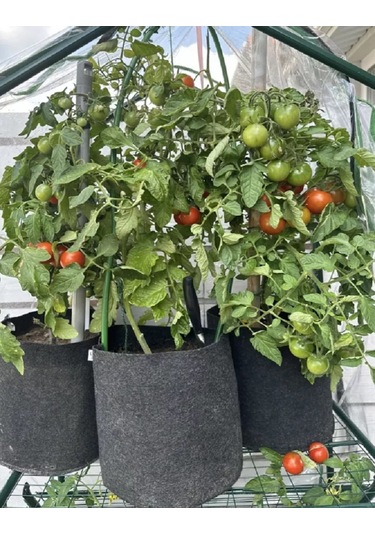 Umnyj Sad 20 Litrelik Tekstil Saksı, 5 Adet, Bitki Ve Fide İçin 186267431