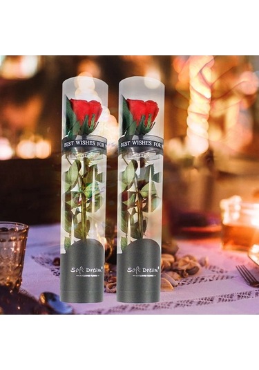 Trendooze Yıl Sonsuz Sonsuz Sevgililer Romantik Pembe Partisi Parfümlü Noel Korunmuş Kadınlar İçin Hediye Günü Günü Gül Gül Gül Gerçek Festivalleri Ev Düğün Dönümü Çiçeği Çiçeği Arifesi Anneler Pe Pembe