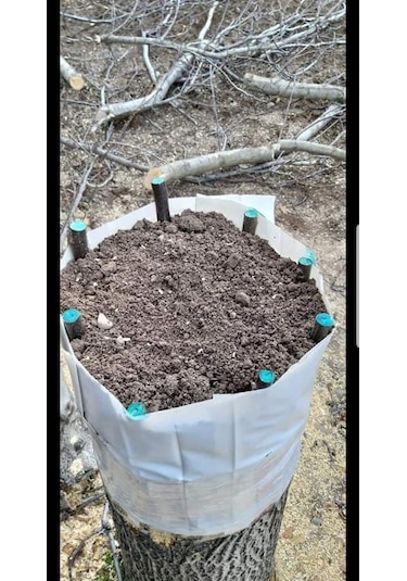 Gmt Eks Budama Aşı Macunu Turunçgil Yara Macunu 250 G