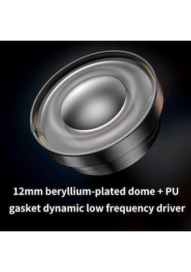 FiiO FH5s 2BA+2DD Dört Sürücü Hibrit Stereo Kulak İçi Kulaklık