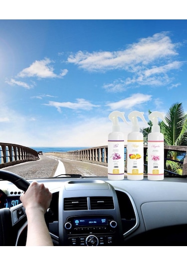 Sümbül Kokusu Oto Kokusu Spreyli Araç Oda Ve Ortam Kokusu 400 Ml Kalıcı Uzun Ömürlü