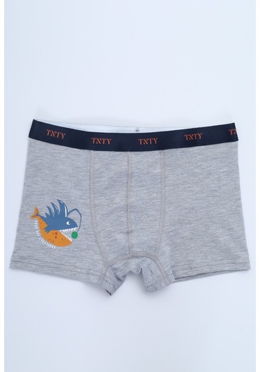 Toontoy Erkek Çocuk Çizgili Desenli Baskılı 4lü Paket Boxer Çok Renkli