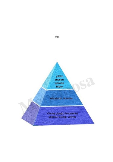 Bargello 735 Erkek Parfüm EDP 50 ML Fresh Mnms50735 Aromatik