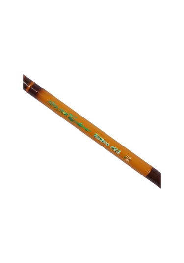 Albastar Bambus Pole 540cm Kısa Göl Olta Kamışı