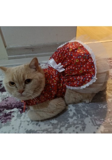 Gobo Rengarenk Çiçekli Fiyonklu Kedi Köpek Kıyafeti