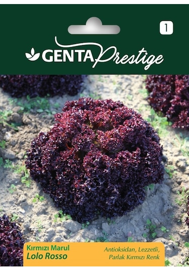 Genta Prestige Sebze Tohumu Kırmızı Marul Lolo Rosso