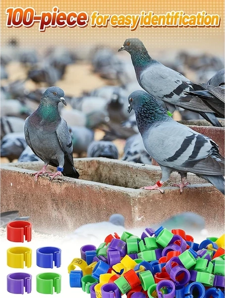 Willowhaven 100 Adet 10mm Gökyüzü Mavisi Kuş Bacağı Halkası 1-100 Numara Kanatlı İşaretleme Aracı