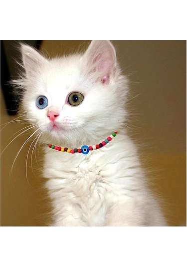 Bijustore Karışık Renk Bambu Boncuk Nazar Boncuklu Kedi Tasması