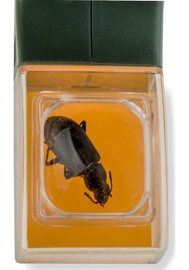 Carson Bugview One Hand 5x Büyüteç