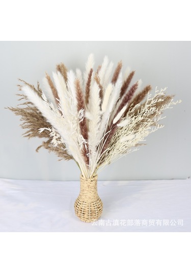 Sıcak Bohem Düğün Evi Kurutulmuş Çiçek Buketi Küçük Kamış Çırpıcı Tavşan Kuyruğu Otu Küçük Pampas Otu 100 Adet 2 Kutu Ambalajıyla