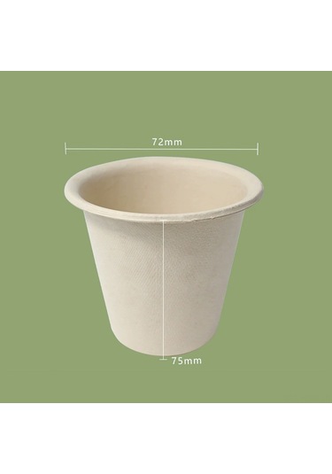 Suofeng Bambu Lifli Biodegredasyonlu Tek Kullandım At Disposable Tabaklar - 20 Adet/paket 6", 7", 9" Seçenekleri 20