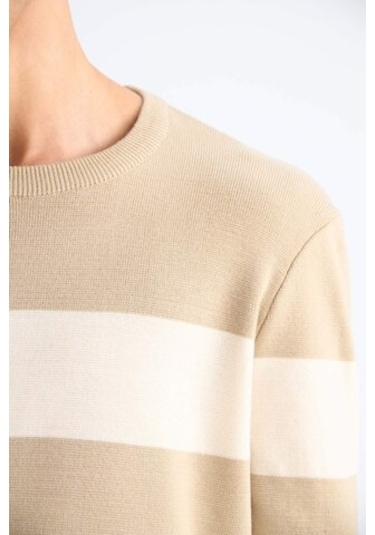 DeFacto Standart Fit Bisiklet Yaka Triko Kazak D1968AX24AUBG295