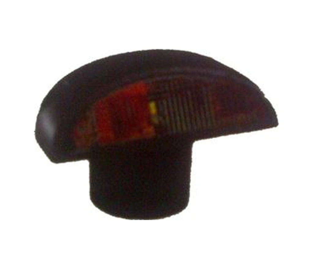 Çerkez Basamak Yan Aydınlatma Lambası Renault 5w