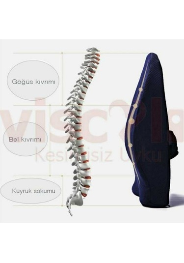 Visco Li Kartal Desenli Yastık Bel Yastığı Ortopedik Destek Yastık Oturma Minder Kartal