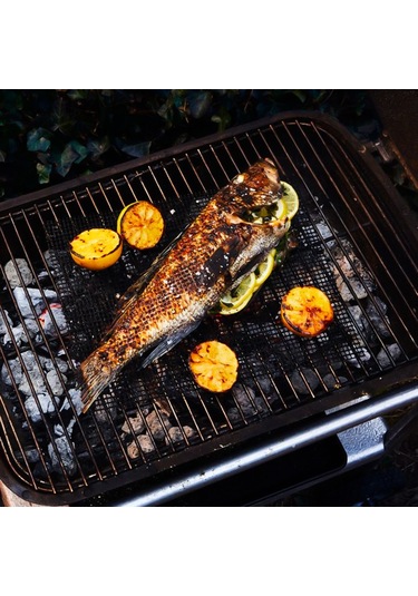 Kangvka Teflon Izgara Ağı Çantası, 27x22cm Büyük Boy, Isıya Dayanıklı, Tekrarlı Kullanımlı, Kapanabilir Düğmeli, Kahverengi Çok Renkli