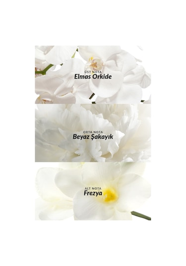 Avon Incandessence Kadın Roll-On 50 ML