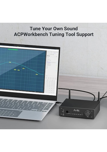 Arylic B50 Bluetooth Stereo Amfi Ses Vericili