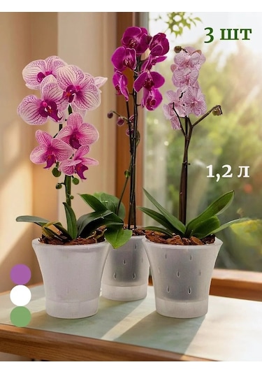 Live-in-green Orkide İçin Şeffaf Plastik Saksı Takımı 1,2l 342131428