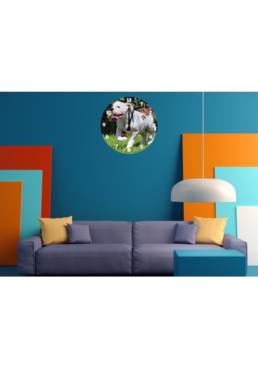 Ti-play Buldog 30x30cm Akrilik Dekoratif Modern Duvar Saati ÇOk Renkli